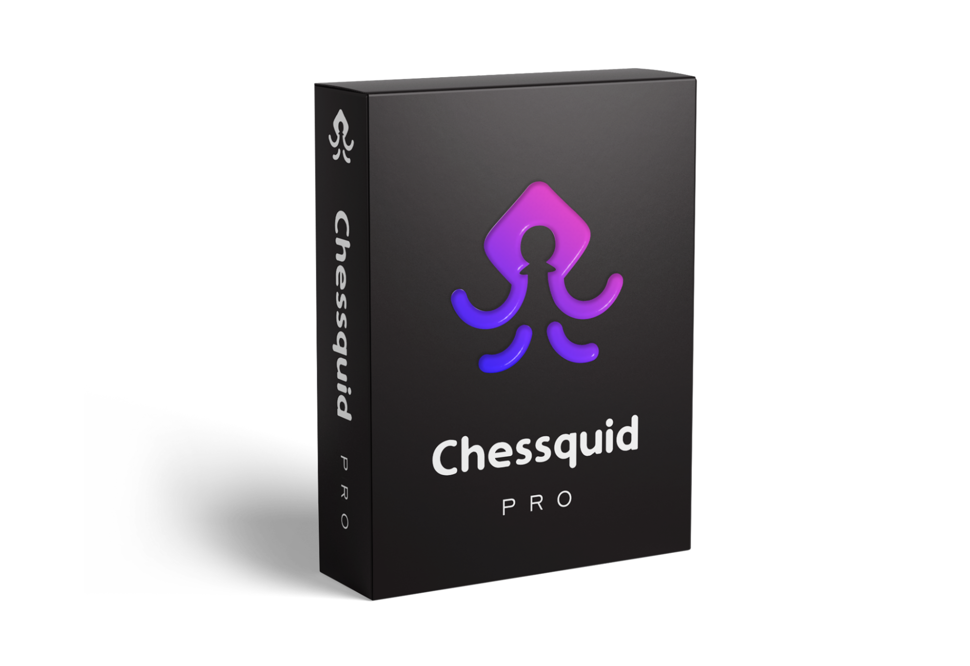 How Do You Setup A Chess Board? - Chessquid